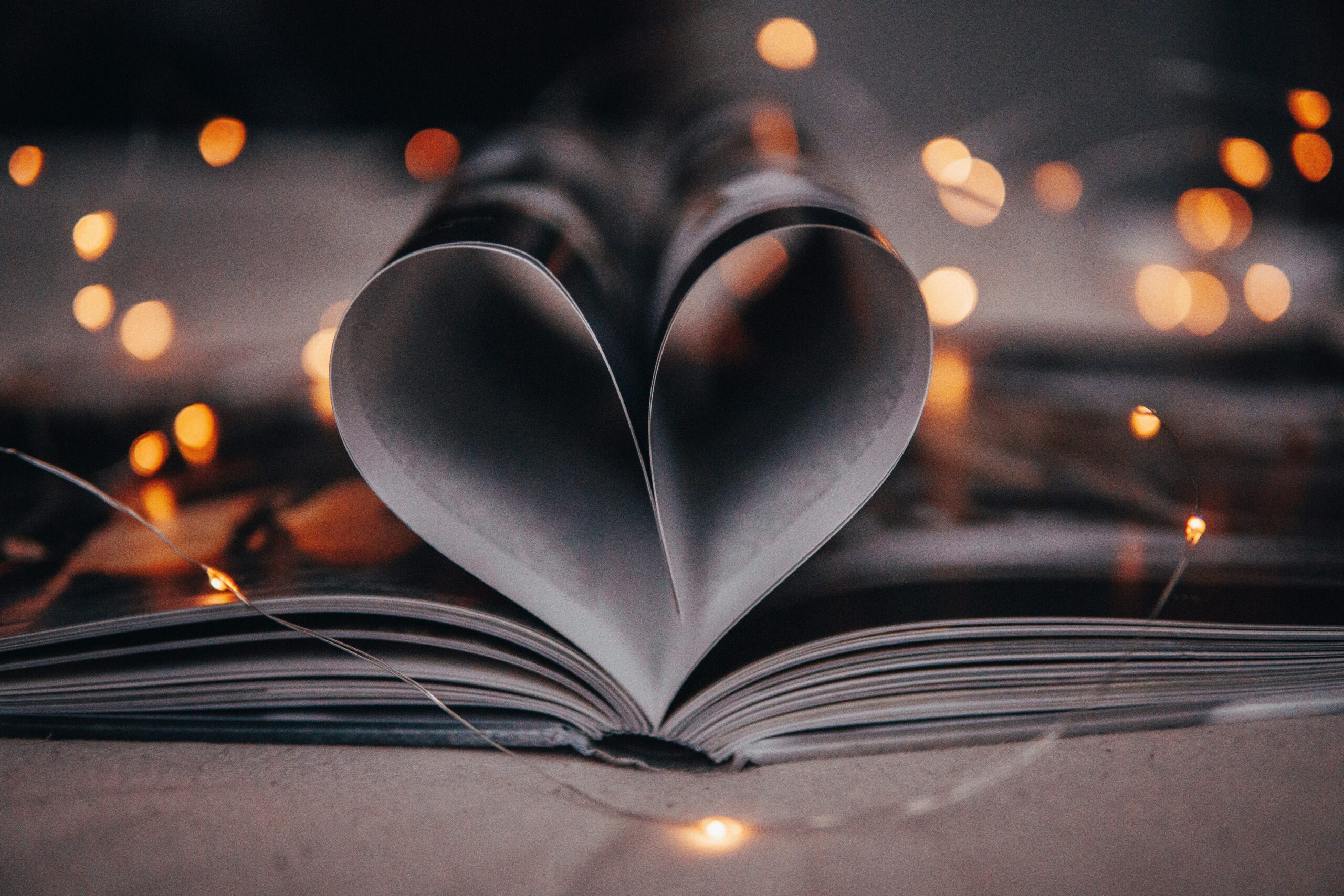 benjamin-raffetseder-LyOz2jJdCY8-unsplash