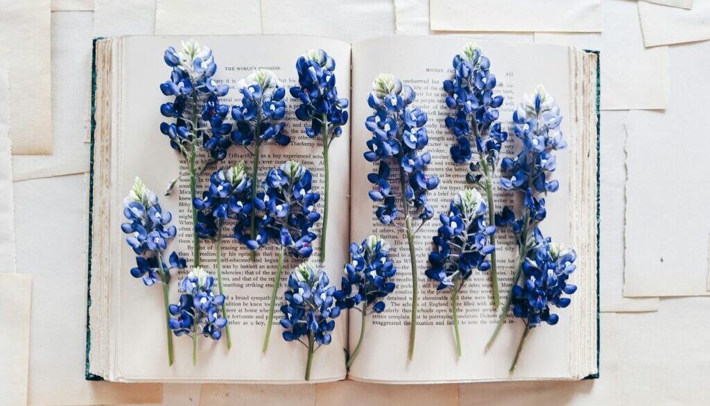 joyce-hankins-RYtFleIk_4U-unsplash