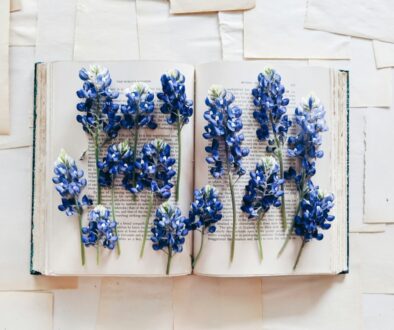 joyce-hankins-RYtFleIk_4U-unsplash